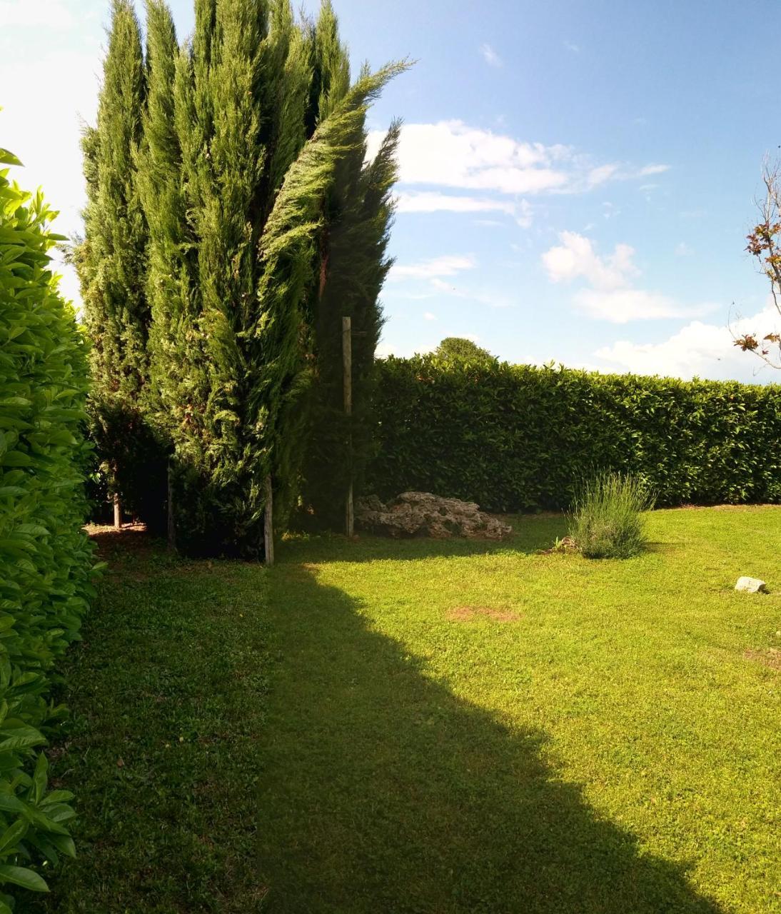 Apartament A Viterbo Terme "Casa Vacanze Al Melograno" Zewnętrze zdjęcie
